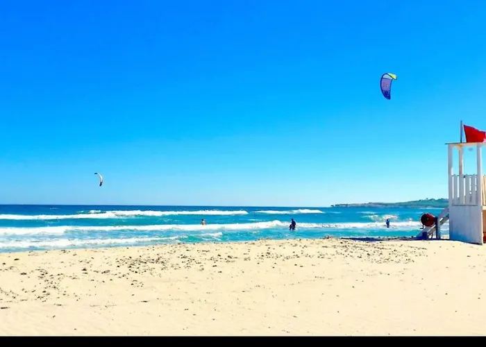 Le Due Palme Angelo *